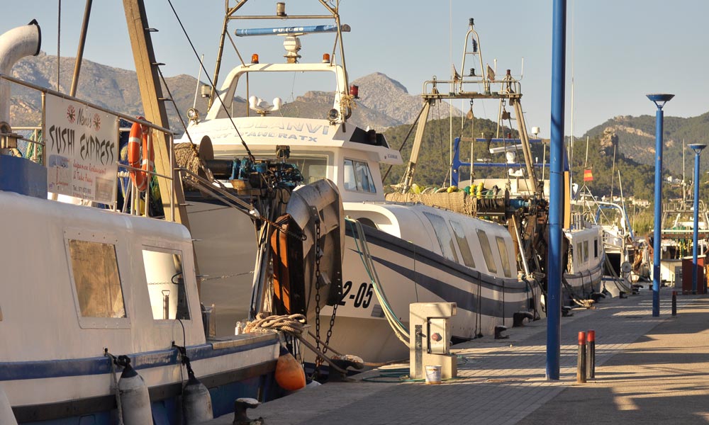 Fisher boats port andratx view over galatzo Casafari real estate search Mallorca neighbourhood guide 