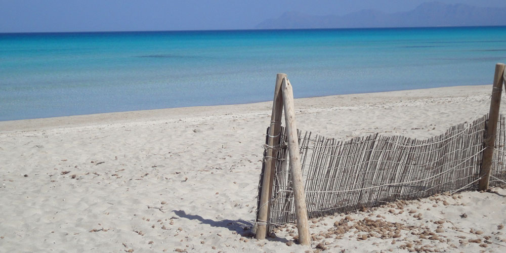 playa-de-muro-alcudia