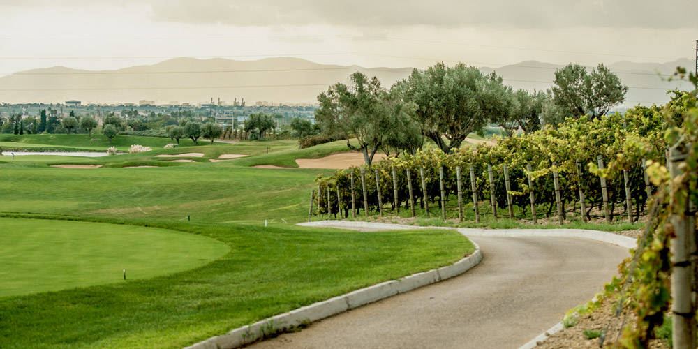 Son Gual property owners enjoy the local golf course surrounded by vineyard.