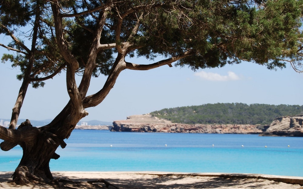 Sant Josep property market is surrounded by beautiful nature of Ibiza.