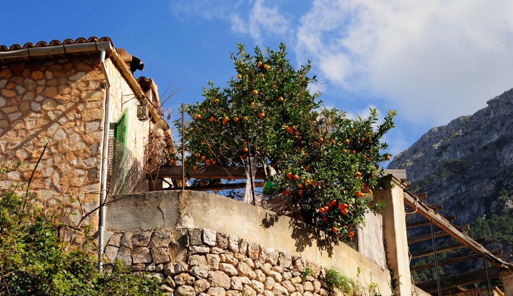 Deia property market is interlaced by narrow alleys from cobblestone.