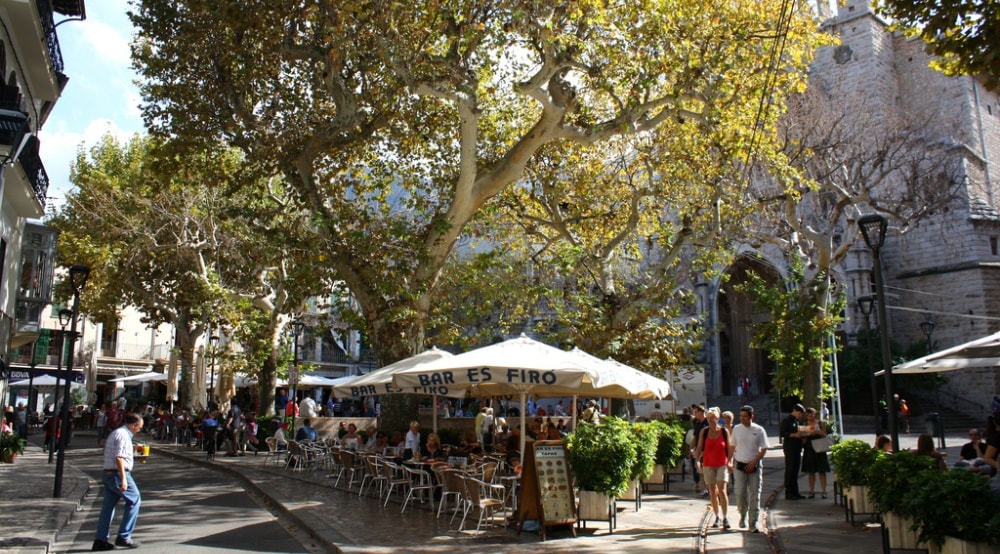 Cafes and restaurants around Soller Town property market range.