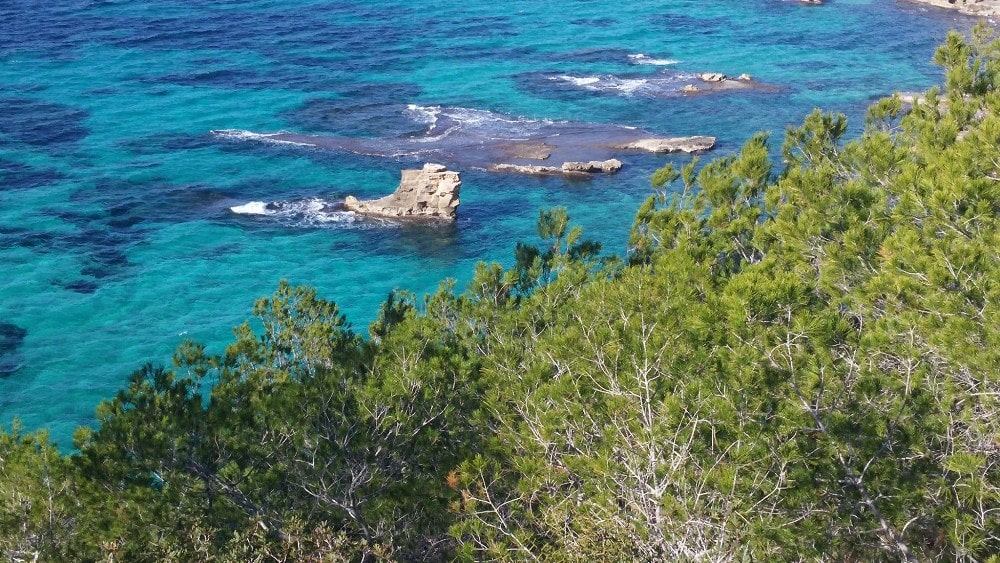 Llucmajor Town property buyers enjoy beautiful nature like Puig de Ros coastline view provides.