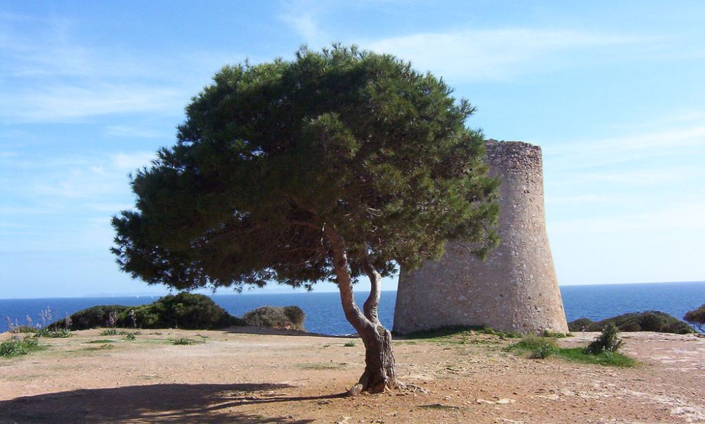 Historic watchtower in Cala Pi property market surroundings.