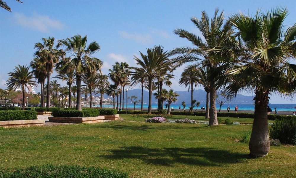 Cala Millor property market ranges all the way to the beachside promenade.