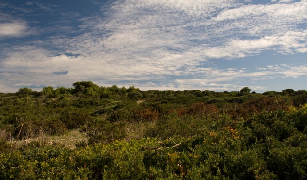 Cala Millor property market surroundings, Punta de Amer.