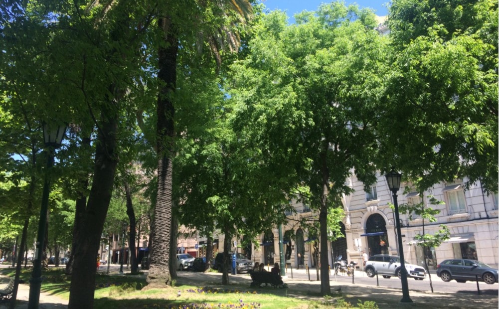 avenidas novas property guide picture of avenida da liberdade and prada shop by casafari lisbon portugal