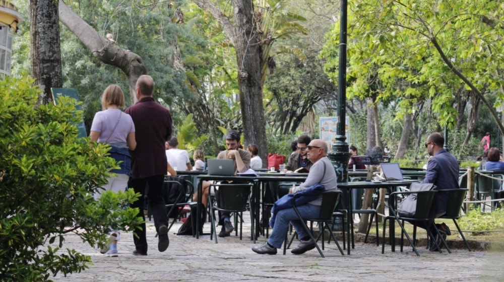 estrela property owners enjoying sun in the park casafari lisbon portugal