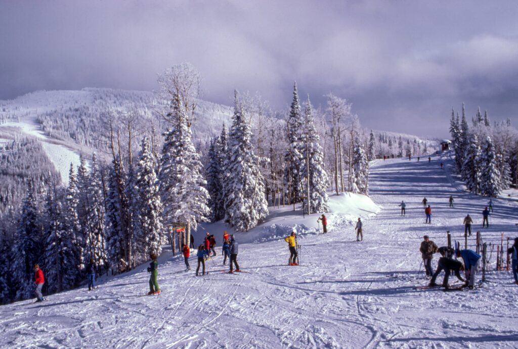 Skiing between the snow-topped trees near Munich